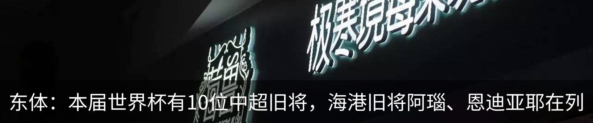 最新动态