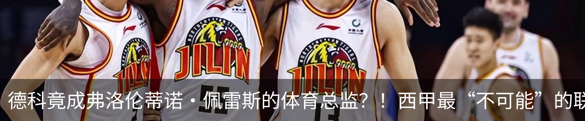 最新动态